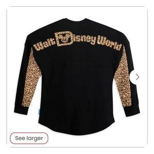 wdw spirit jersey
